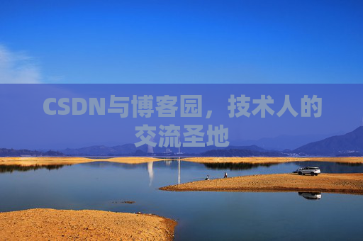 CSDN与博客园,技术人的交流圣地